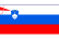 Flag of Slovenia with three horizontal stripes—white, blue, and red—with the Slovenian coat of arms in the top-left corner.