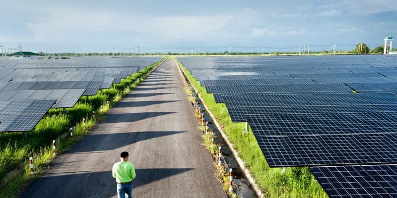 Man walking between fields of solar panels