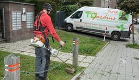 Gardening services - Man mowing lawn