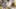image_blog_parental_leave_11102018.png