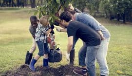 Mixed group planting tree in community