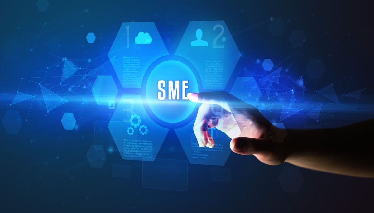 SME country reports