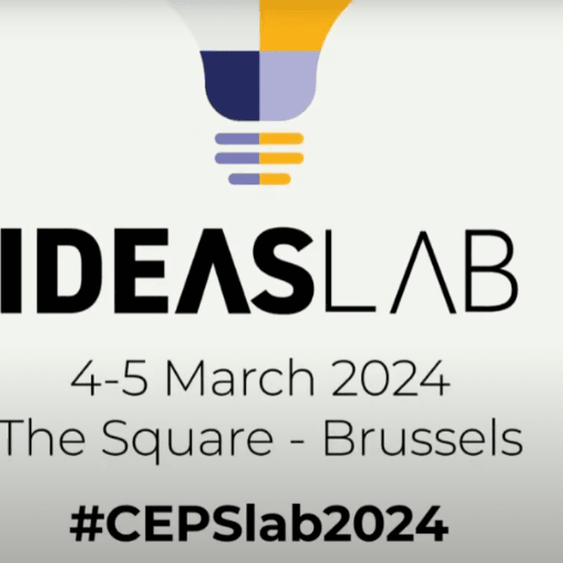 Ideas Lab 2024: A decade of shaping EU policies