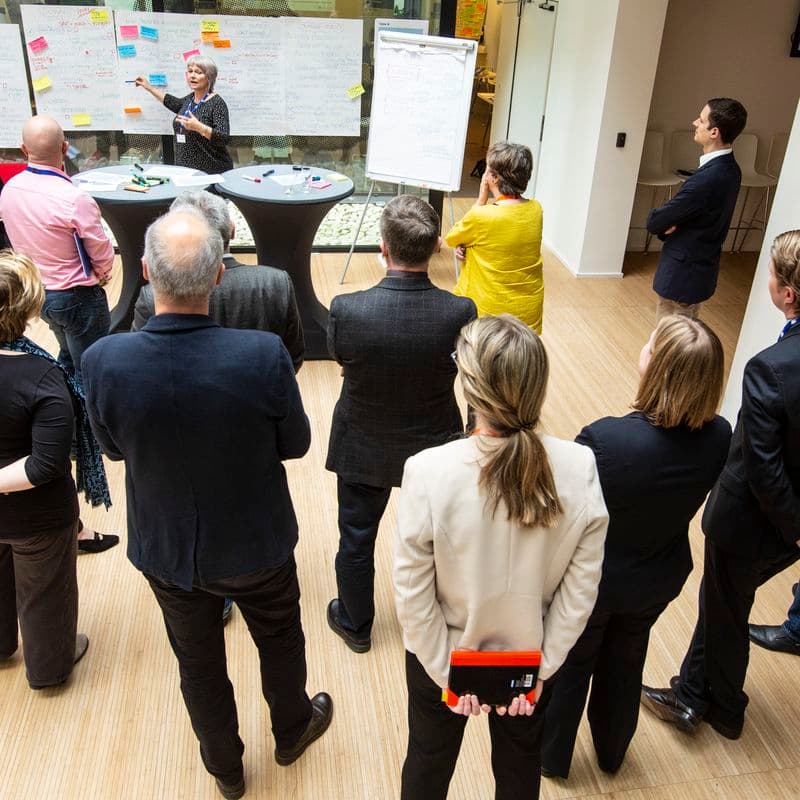 The role of survey data for evidence-based policymaking on working time in the EU: experiences and ways forward