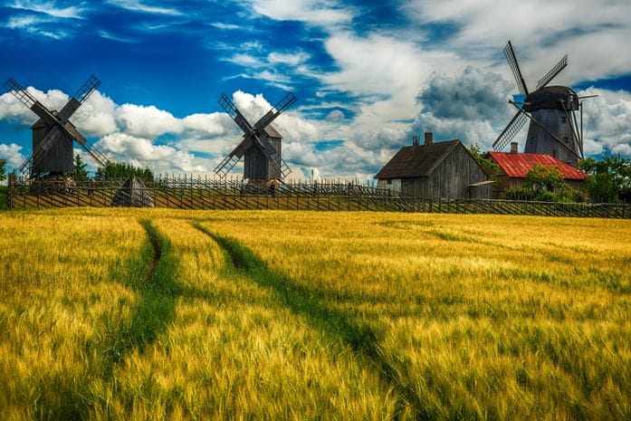 Windmills in the countryside in Estonia