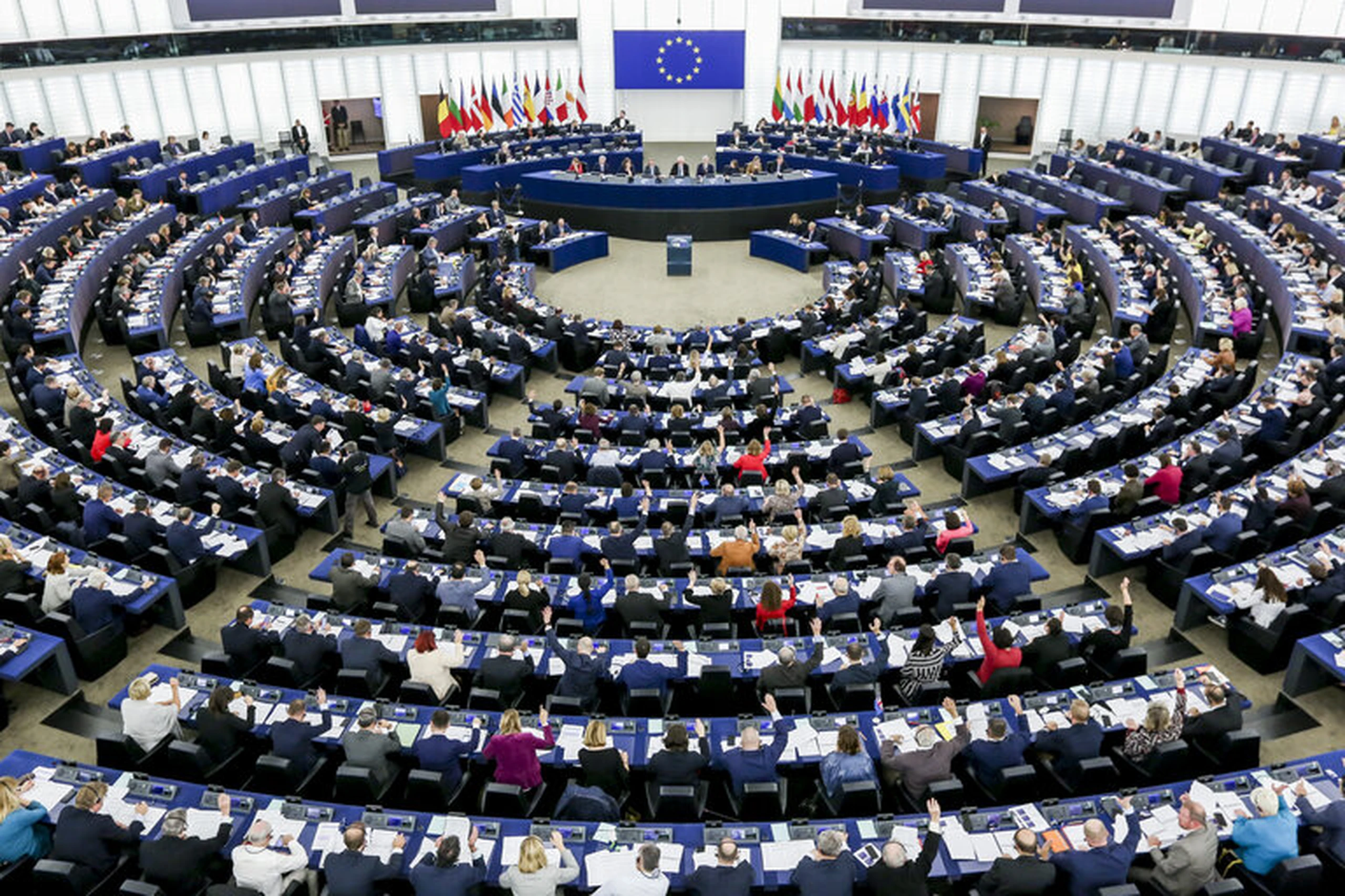European parliament