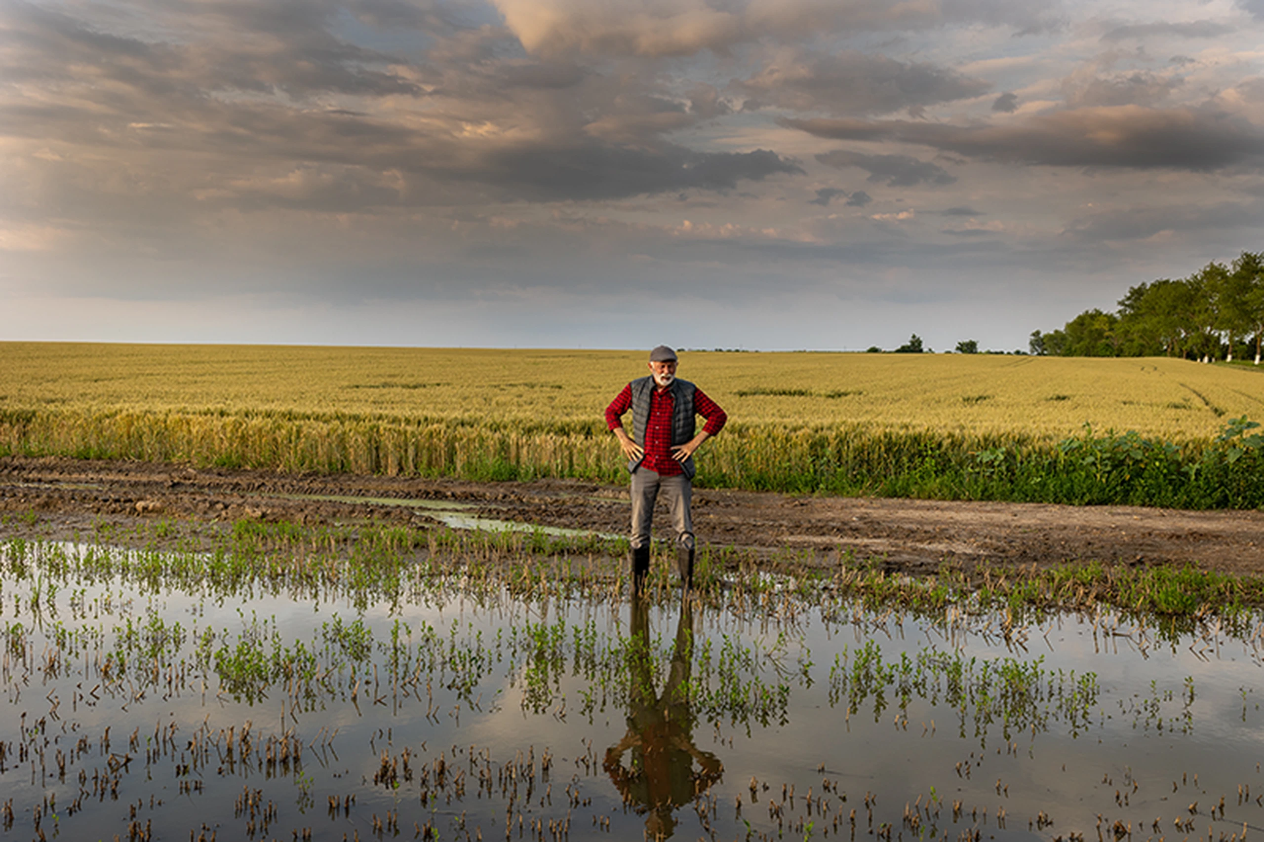 Extreme weather events: Policy measures to cushion the effects on workers, businesses and citizens
