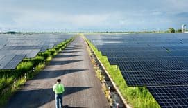 Man walking between fields of solar panels