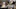 photo_fome_rips4.jpg