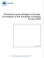 An analysis of the European Company Survey 2009