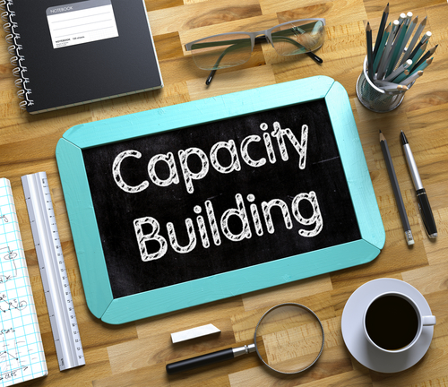 capacitybuilding.jpg